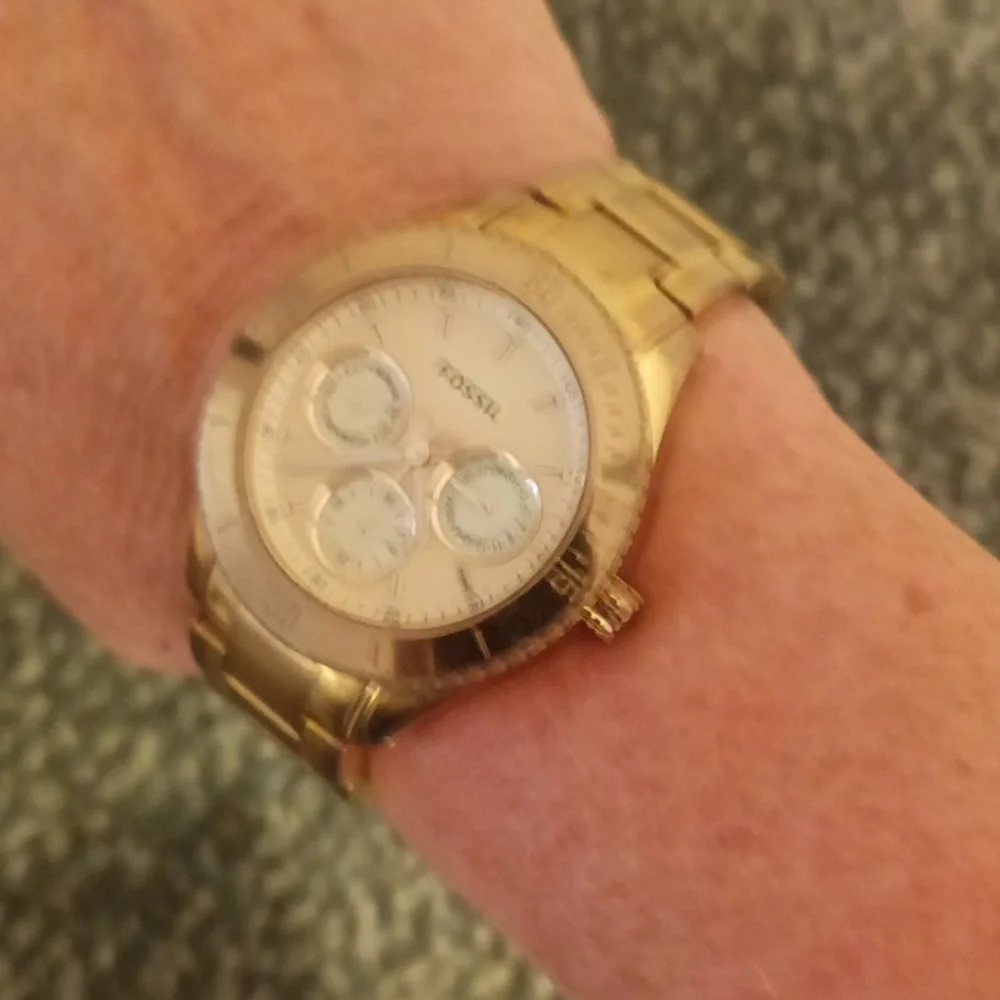 Fossil stella rose